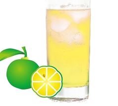 シークヮーサー