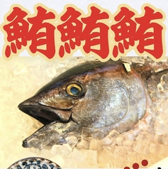 特上中トロ刺し(ハーフサイズ)
