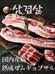 熟成サムギョプサル専門店