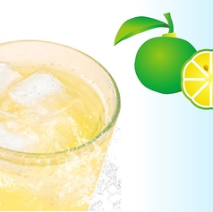 シークヮーサー