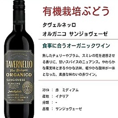 タヴェルネッロ オルガニコ サンジョヴェーゼ(赤)ボトル