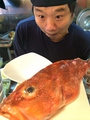 料理メニュー写真 本日のおすすめ鮮魚