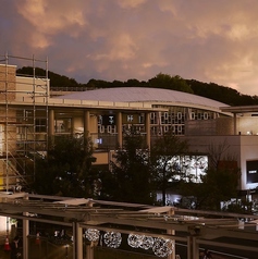 TT" a Little Knowledge Storeの特集写真