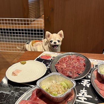 【幸せを運ぶ牛 幸生牛（さちうぎゅう）取扱店】 焼肉小山　金沢もりの里店の雰囲気1
