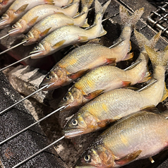 めしや しの崎特集写真1