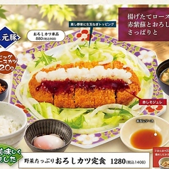 【さらに美味しくなりました】野菜たっぷりおろしカツ定食
