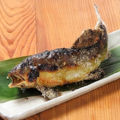 香ばしさが五感を刺激する、至福の炉端焼き。