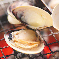 活はまぐり(1個)