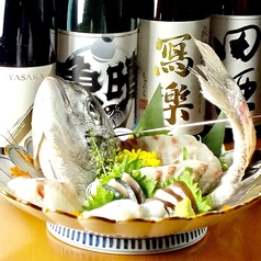 鮮魚 地酒 肴 魚晴の特集写真