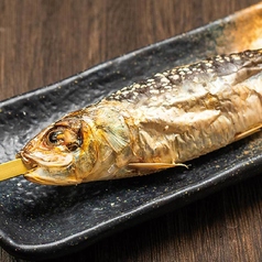生いわし串