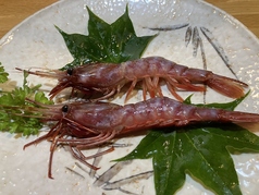 【品切れ中】北海道羅臼産 幻のブドウエビ(中・小)