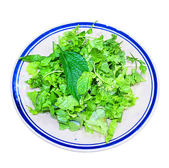 追加の生野菜