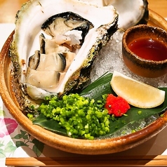 夏は岩ガキ、冬は真牡蠣、季節の活牡蠣 大量入荷！の写真