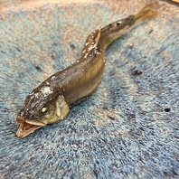 大将が腕を振るう料理はどれも一度は食べてみたい逸品！