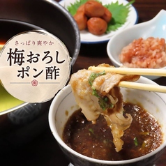 期間限定！さっぱり茶しゃぶコース！梅おろしポン酢！