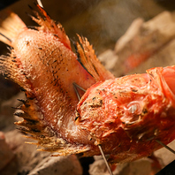 炉端焼きと九州料理に舌鼓