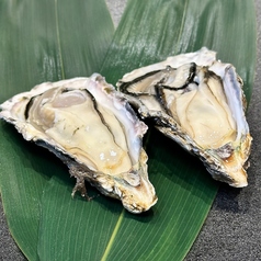 産地直送！殻付き生牡蠣(1個)