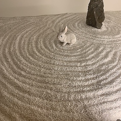 USAGI in Cityの特集写真