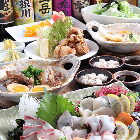 魚市場直送の食材や旬の野菜を使ったお料理！日本酒や焼酎の取り揃えも豊富です。