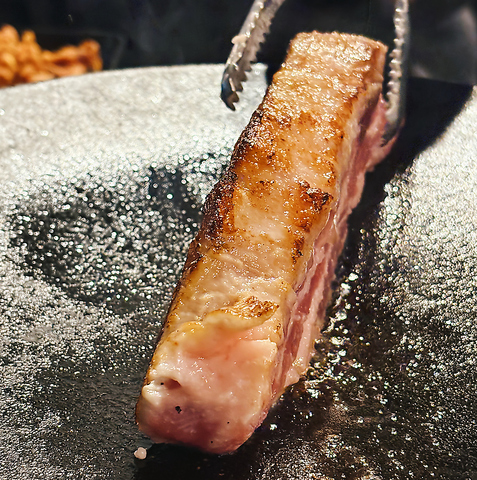 �n���T���M���v�T�����X �R�\�o��