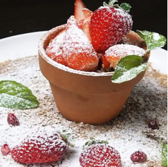 菜縁 高知店のコース写真