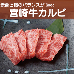 【宮崎牛】宮崎牛カルビ　《しお・たれ》 