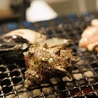 博多炉端 しらべ 月島駅のおすすめポイント2