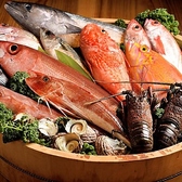 産地から届く新鮮な魚介を厳選し、素材本来の旨味を活かした逸品をご提供。刺身をはじめ、焼き物や創作料理など多彩な味わいでお楽しみいただけます。職人が魚介それぞれの状態を見極め、丁寧に仕上げる一皿は見た目も華やか。海の恵みと鮮度ならではの美味しさを、心ゆくまでじっくりご堪能ください。