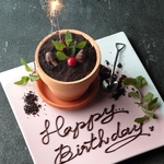 記念日誕生日特典[ボタニカルプレート]豪華なスウィーツ!お好きなメッセージをお入れ致します