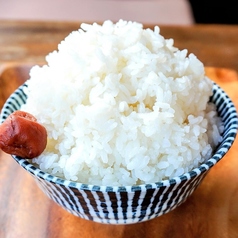 ごはん小盛/ごはん並盛/ごはん大盛/ごはん特盛