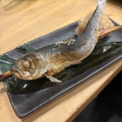 大トロいわし