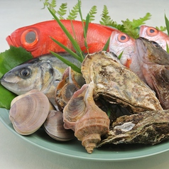 三重県尾鷲漁港直送直送!!活け〆　鮮魚