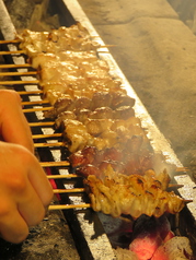 国産銘柄鶏『菜彩鶏』の串焼き。お仕事帰りの一杯に！