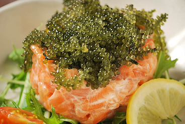 金魚hanare きんぎょはなれのおすすめ料理1