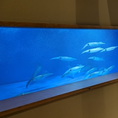 黒船 小倉本店の雰囲気2