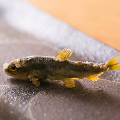 一心 金子のコース写真