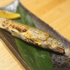 〈季節限定〉鮎の塩焼き