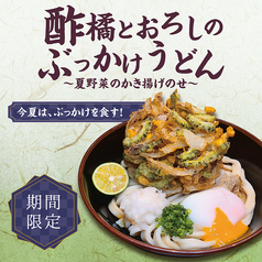 【期間限定:6月15日~】酢橘とおろしのぶっかけうどん~夏野菜のかき揚げ