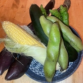 焼き鳥 けむり 川崎のおすすめ料理2