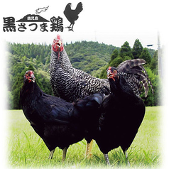 黒さつま地鶏