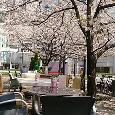 LF CAFE エルエフカフェ 虎ノ門ヒルズ駅の雰囲気3