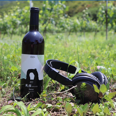 奥尻ワイン 風揺 赤 【ボトル】