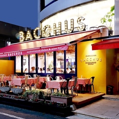 地中海バル バッカス BACCHUS 表参道の写真