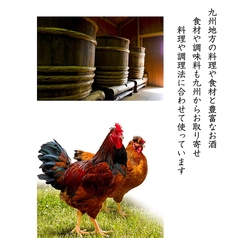 九州を食で旅する