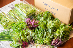 契約農家から仕入れるこだわりの新鮮野菜