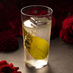 柚子とかつお香るジントニック