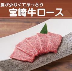 【宮崎牛】ロース　《しお・たれ》