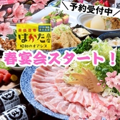 はかた商店 新浦安店の写真