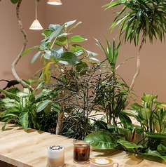 rublanc　ルブランの雰囲気3