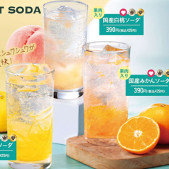 フルーツソーダ